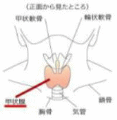 ���j�C���[�W